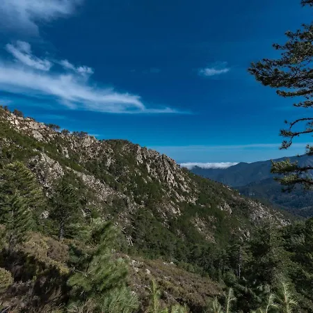 Migone De Sampolo By Interhome Ghisoni