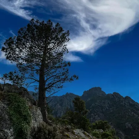 Migone De Sampolo By Interhome * Ghisoni