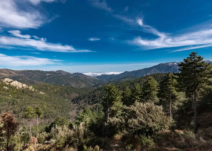 Migone De Sampolo By Interhome * Ghisoni