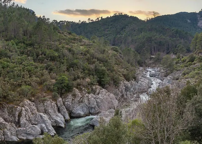 Migone De Sampolo By Interhome * Ghisoni