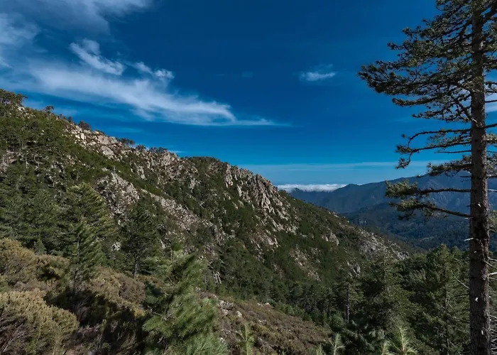 Migone De Sampolo By Interhome Ghisoni