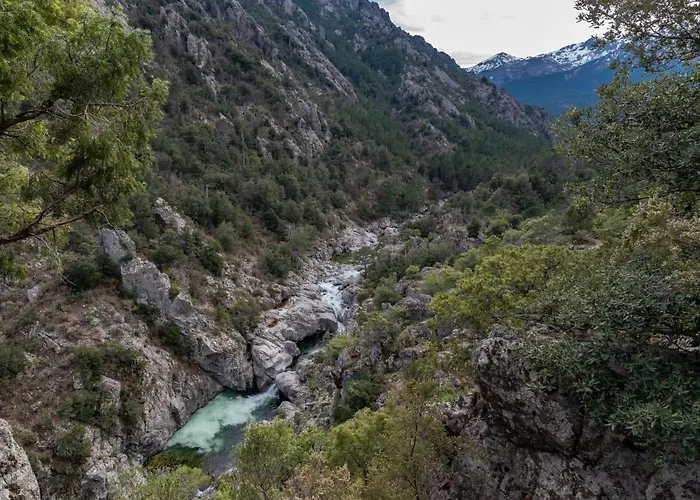 Migone De Sampolo By Interhome Holiday home Ghisoni