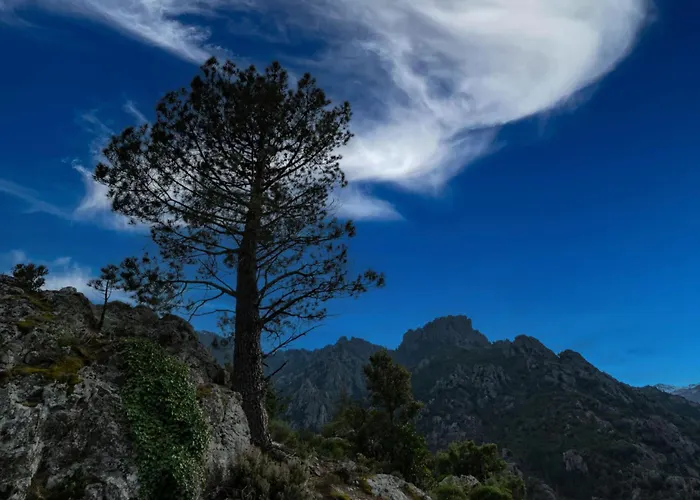 Migone De Sampolo By Interhome * Ghisoni